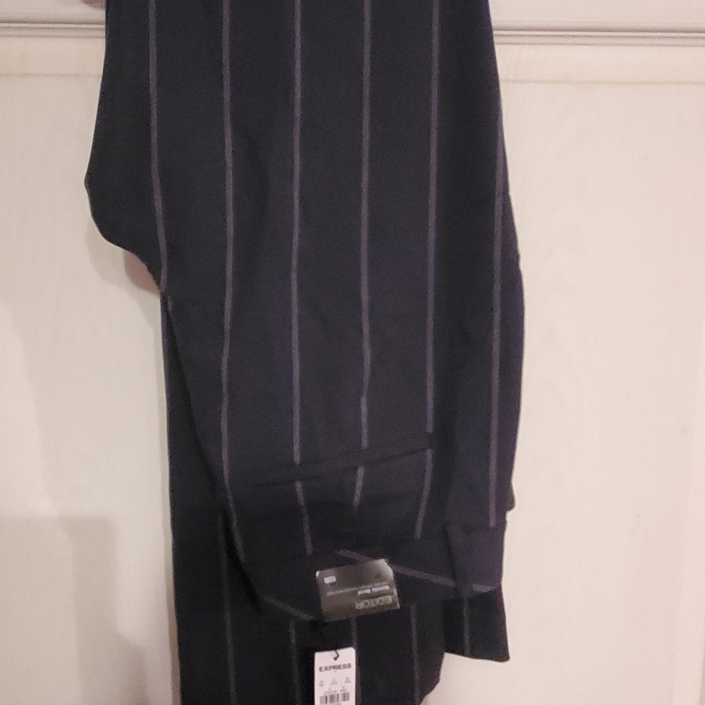 Express Editor pants